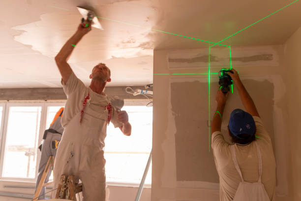 Best Ceiling Drywall Installation  in Fostoria, OH